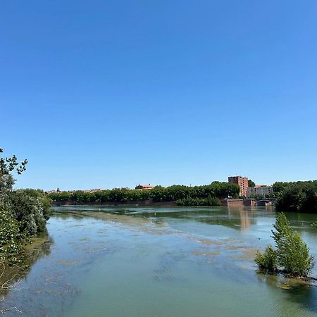 Loft Garonne - Centre Ville Immeuble Privatif Tuluza Zewnętrze zdjęcie
