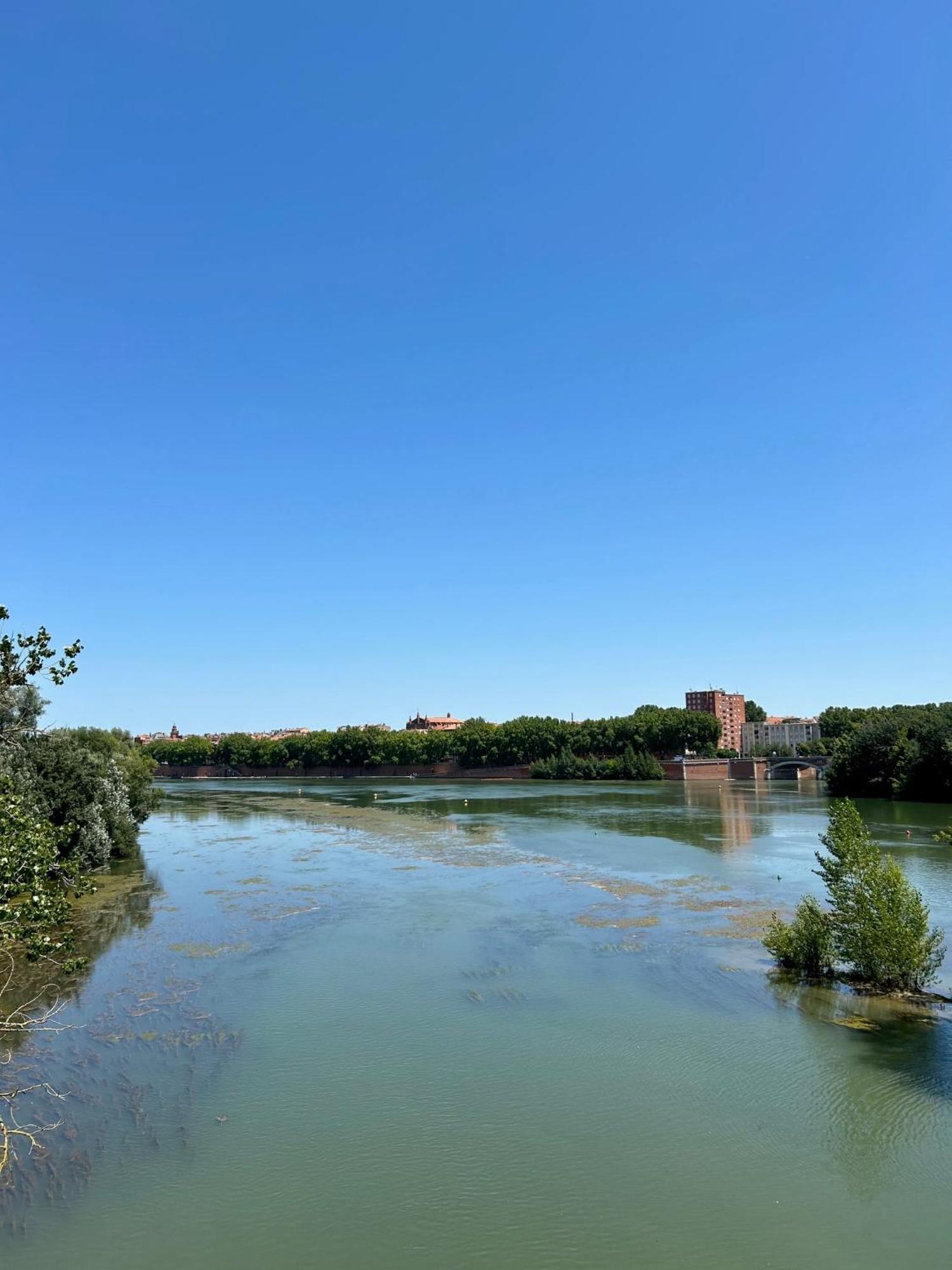 Loft Garonne - Centre Ville Immeuble Privatif Tuluza Zewnętrze zdjęcie