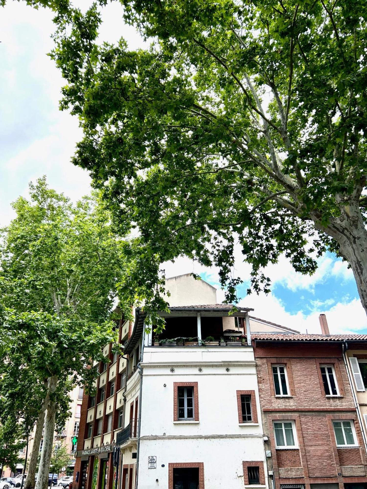Loft Garonne - Centre Ville Immeuble Privatif Tuluza Zewnętrze zdjęcie
